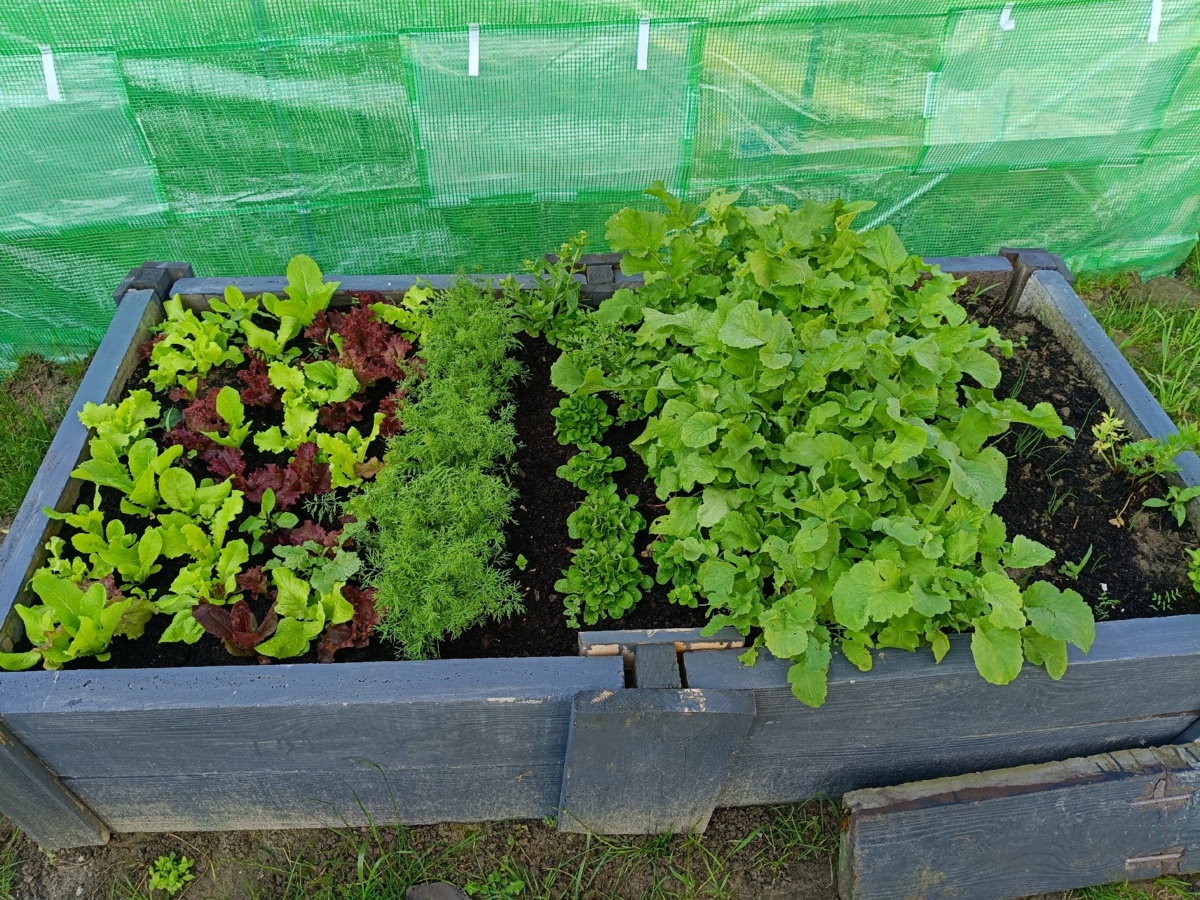 bc2d337f-65e8-4618-8cb8-5c67bf62d89b