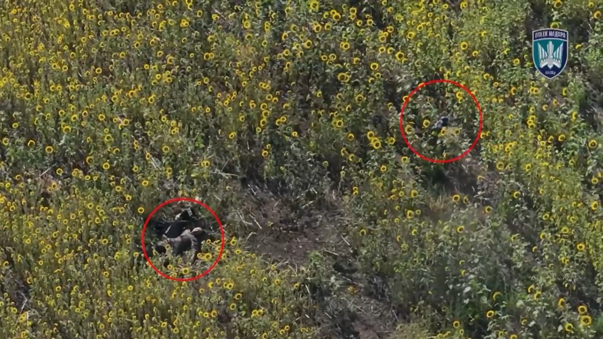 dc5458cd-6f5c-4e1d-b13d-f4a9b0e712bd