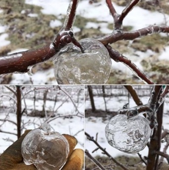 9c734d07-d10c-498e-86ed-68910edb6e90