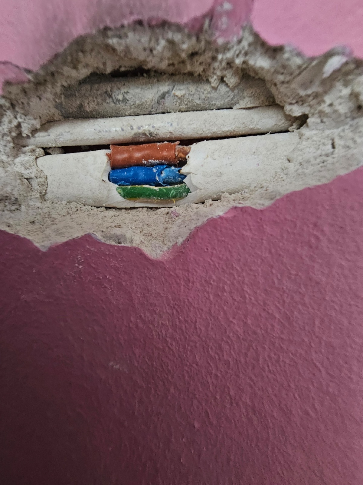 56a27171-091f-4910-bb59-024060bb9499