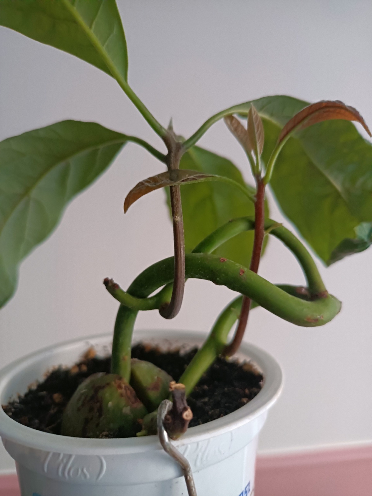 78675488-6022-4876-a841-77d011190d7b