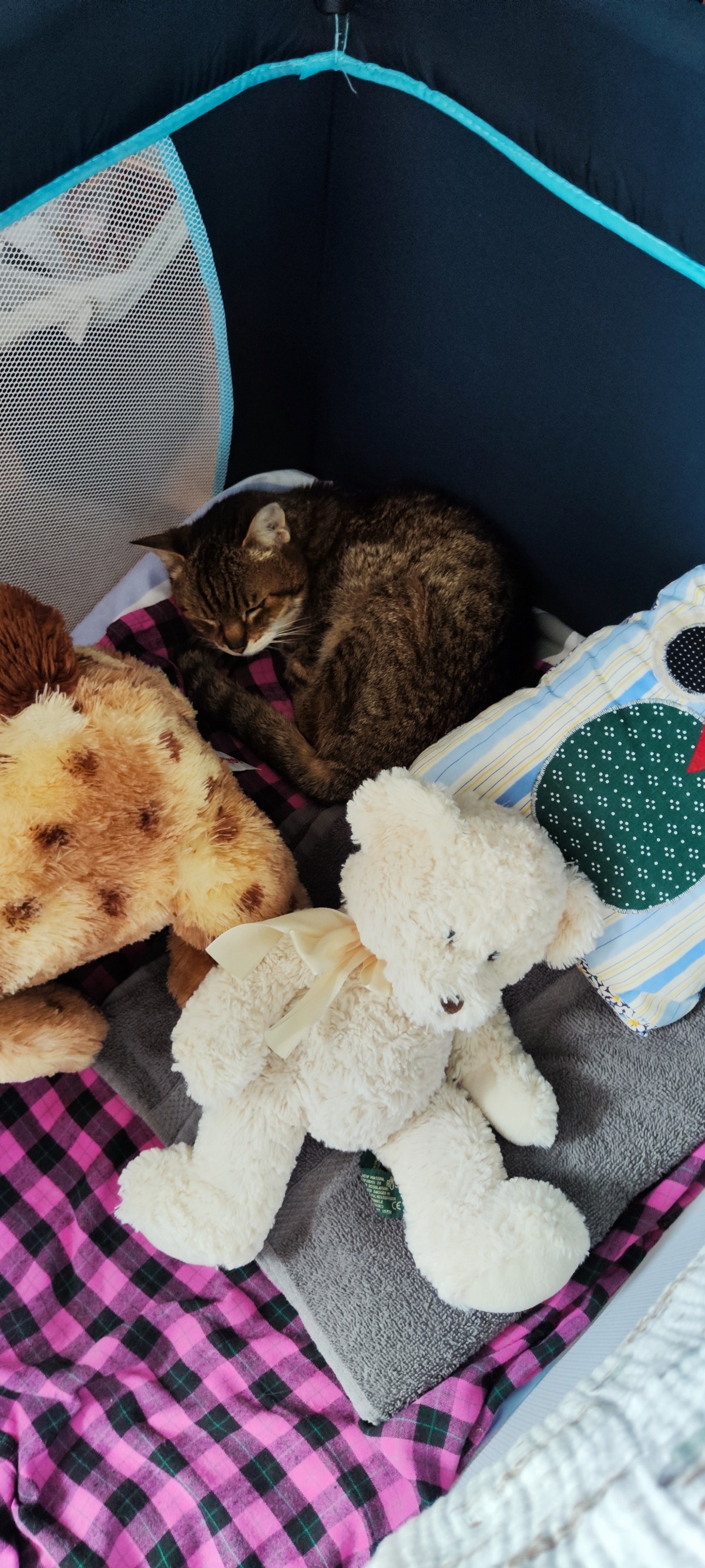 f2f40eeb-53f5-4f20-9e91-069d4fe6eaad