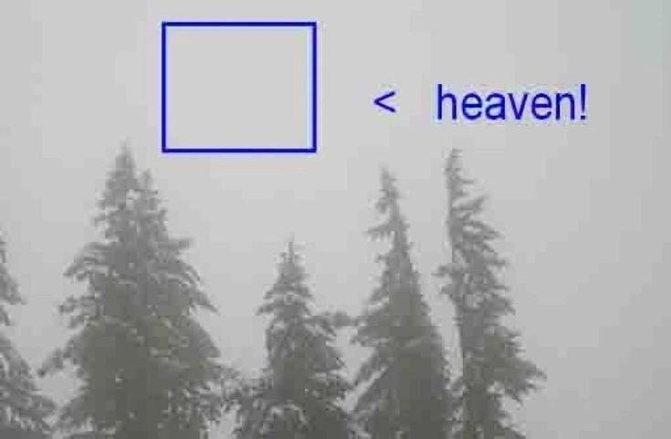 594b9917-f652-4044-ba28-5af65d8712d5