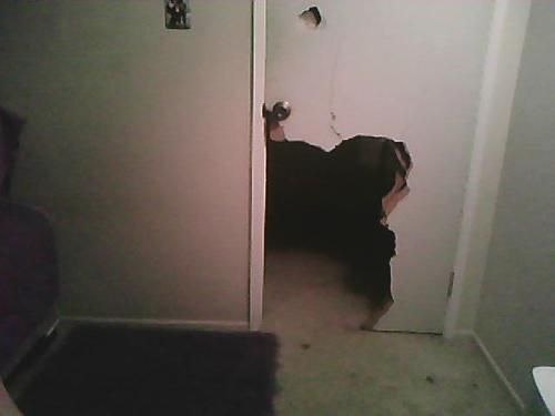 dc163791-685c-4b52-bdbe-ad028281b14e