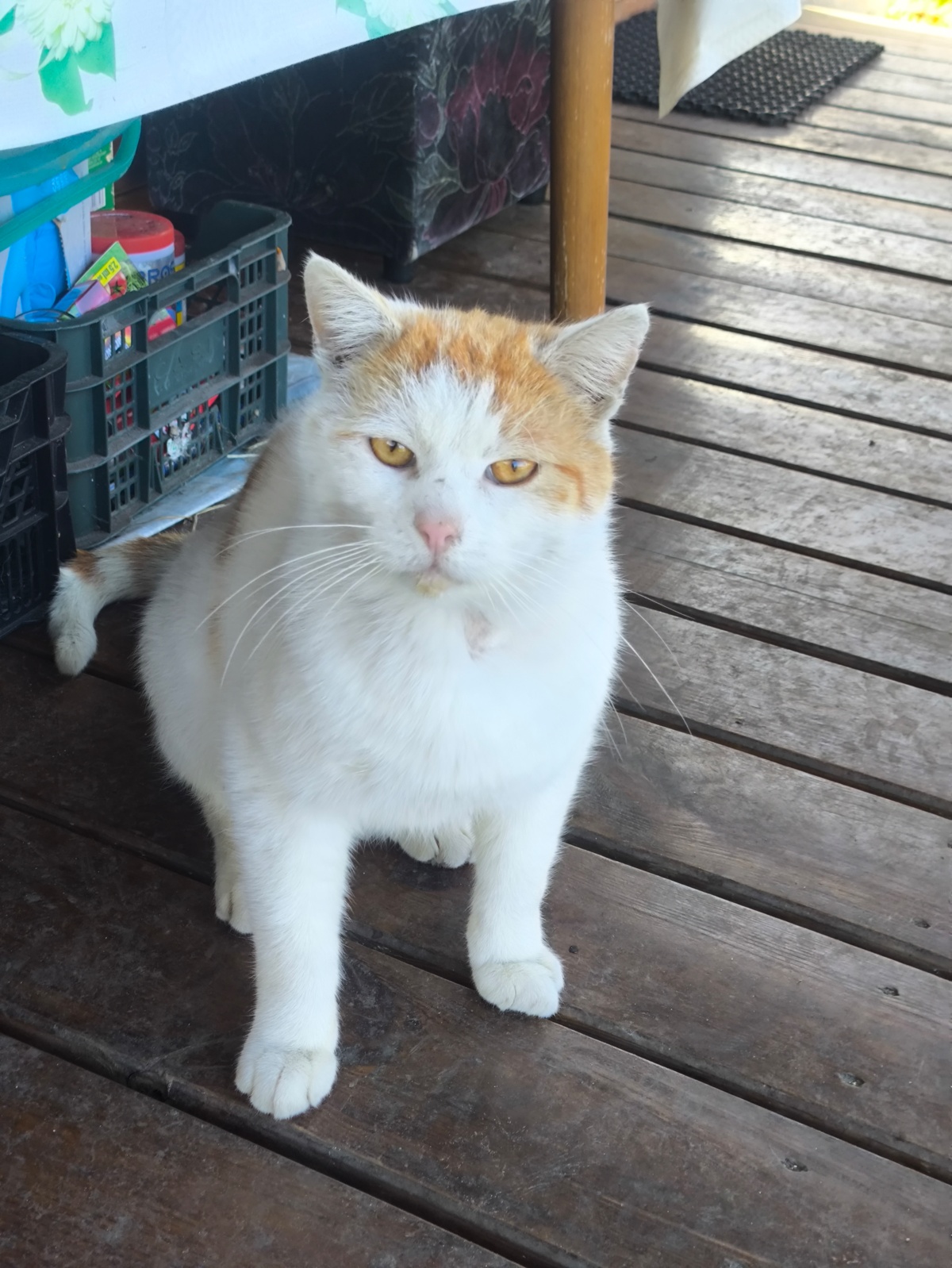 11204b62-cc27-4a21-9ef5-cb8bb8e10609