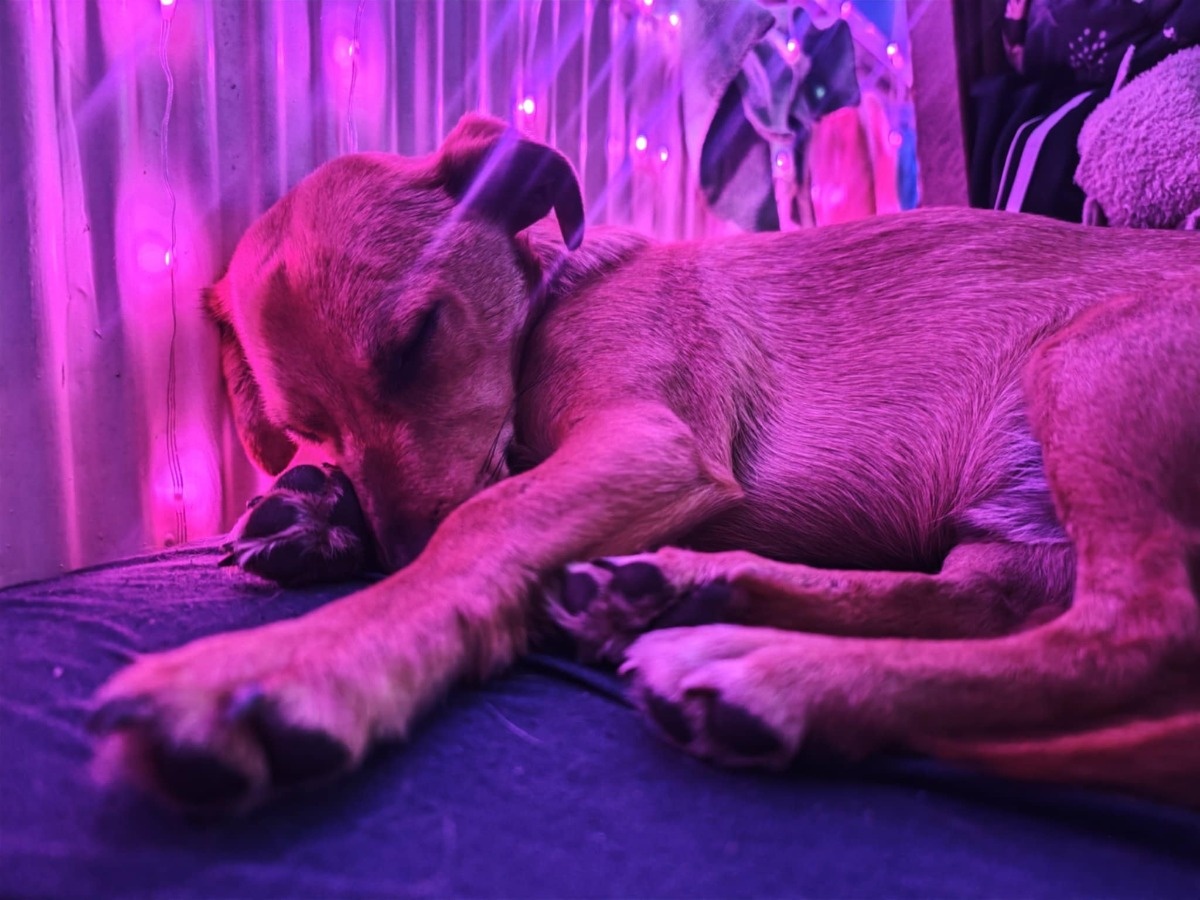 de7fab17-6353-49e5-80bd-326357319321