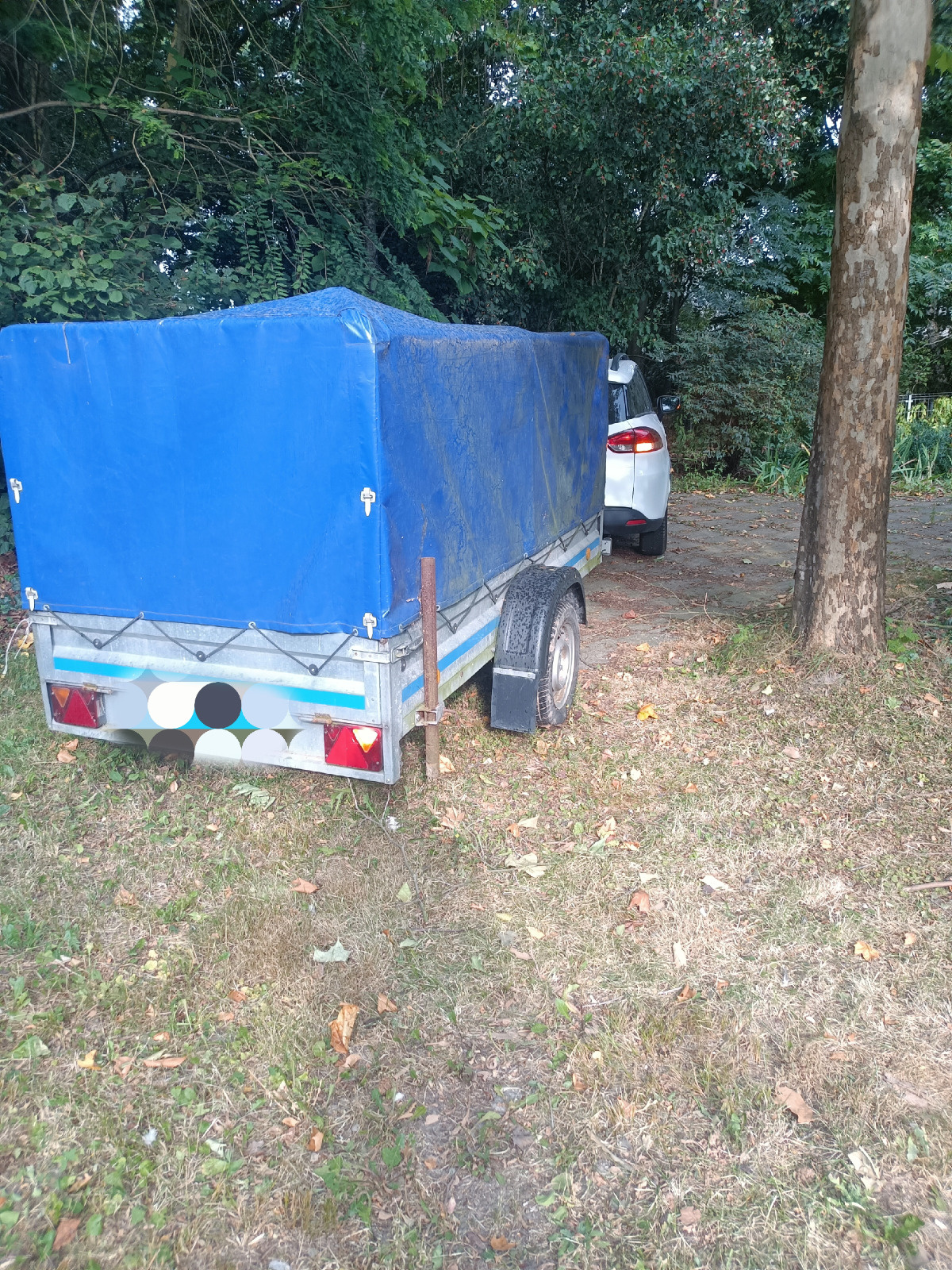 9df483c8-6744-40b7-ad73-cada4d6299f9