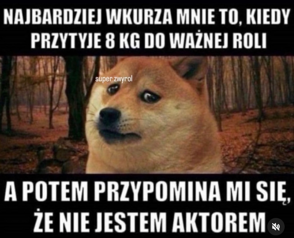 98bd3cc6-c47e-467e-8648-d3e6735b4ae6