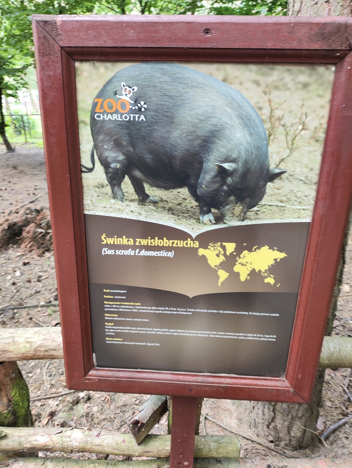 a897aa05-0a0f-40bb-9217-55a75f7ea1ed