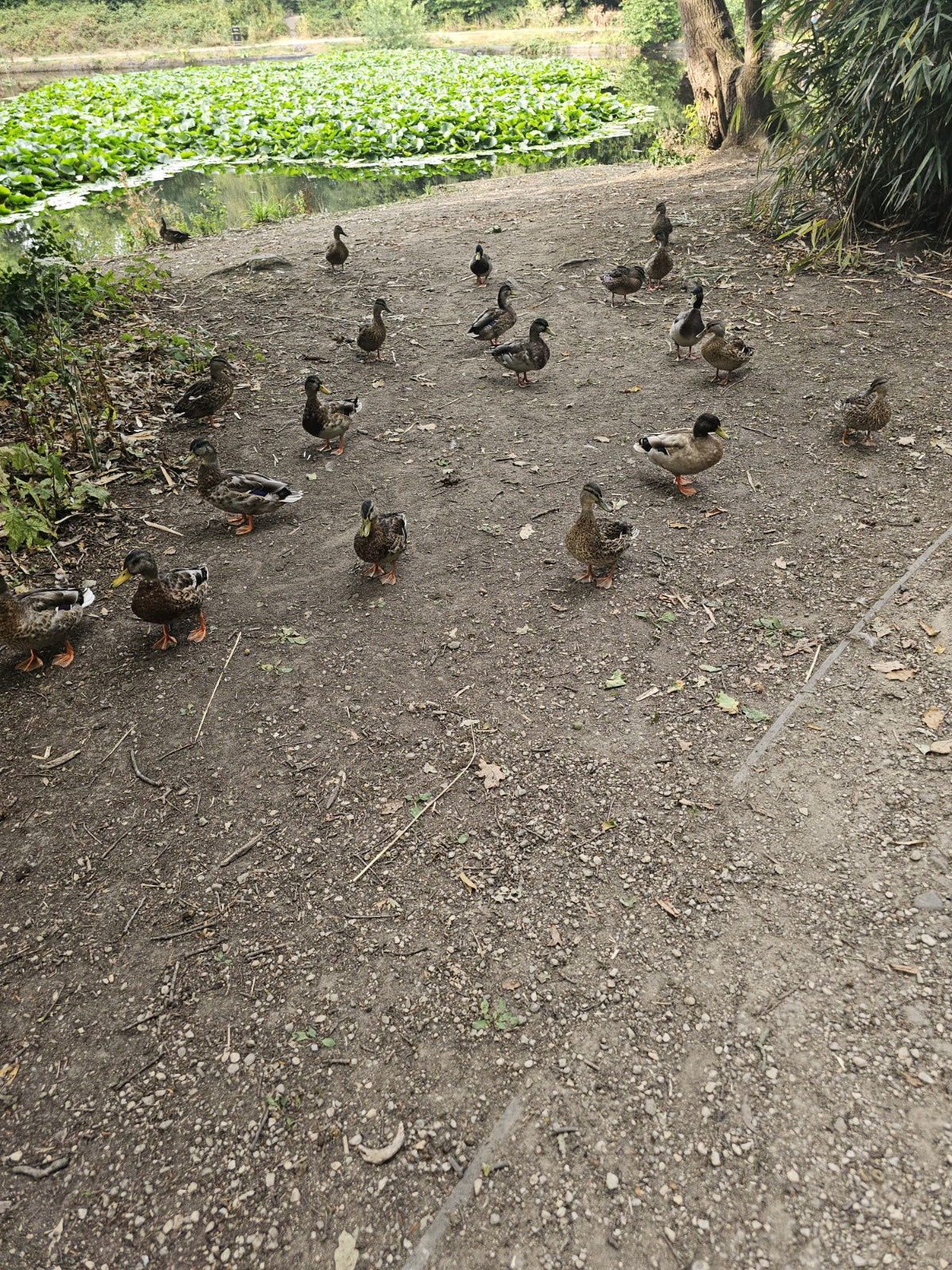 420366cc-7a42-4caa-a151-9f04a1cbebcc