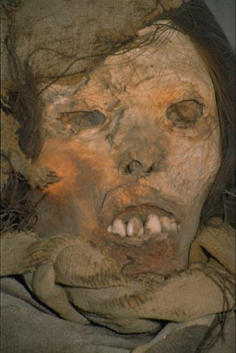 d09cddd1-6196-4f5e-a857-ab52c15bdeab