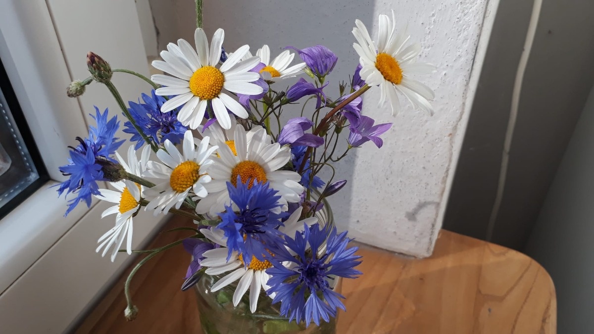 68de3f67-0afe-4a44-8eb5-41ce3402a49d