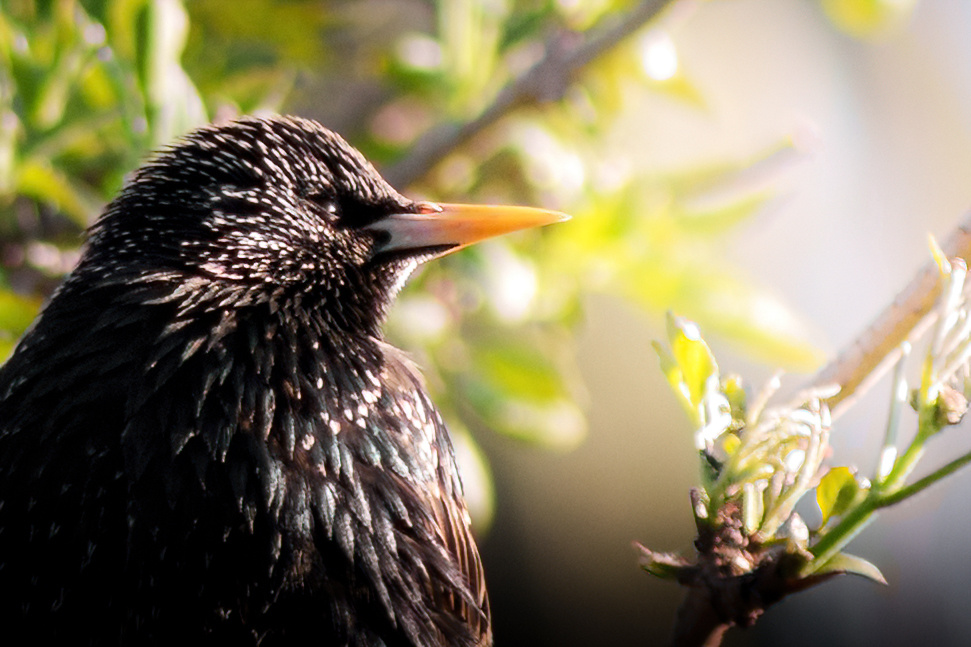 50804f2e-2fd5-4c64-aa32-74954892d4a2