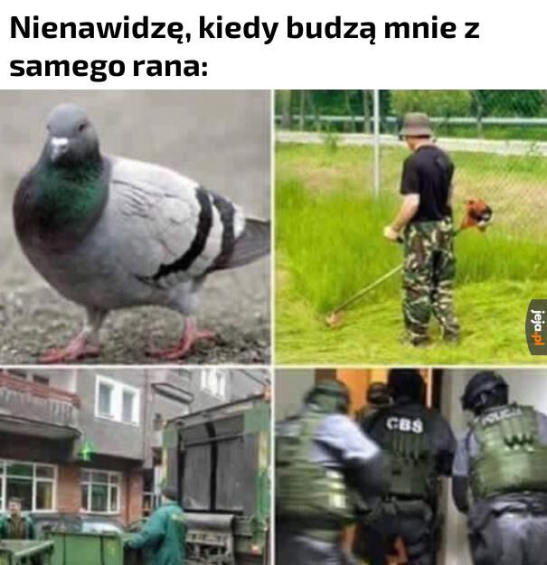 17e54252-924d-4a3b-ad85-eb3abdfedee3