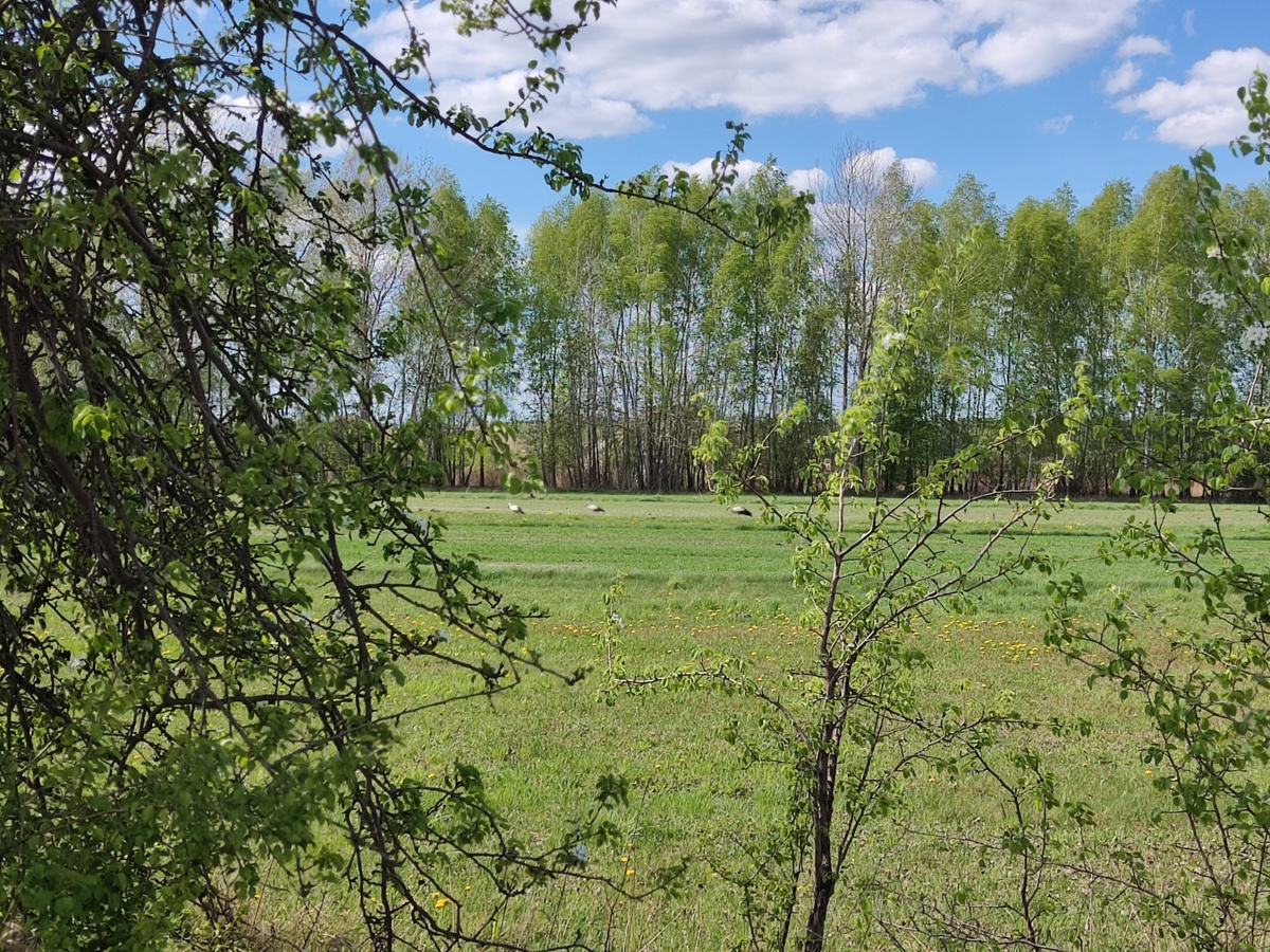 4ba35241-013c-45ad-8108-ddcf1db78b0d