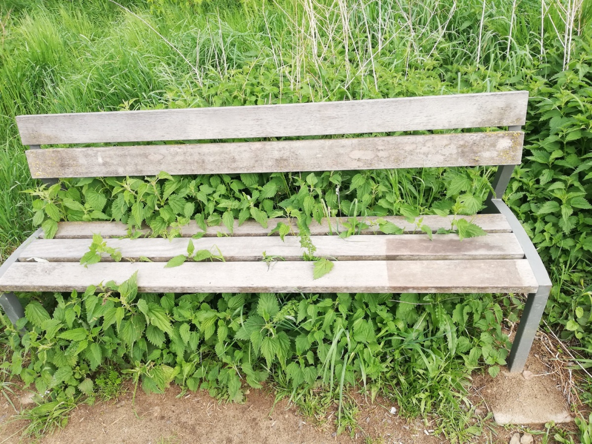 3f3dcada-32ad-4b22-93d7-5471f6562c26