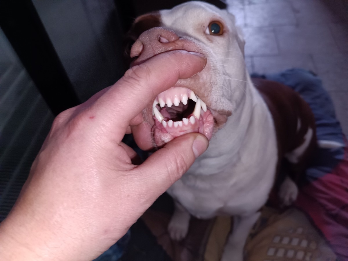 8ffc10a1-8a02-4359-a4ad-72a00a5bae61