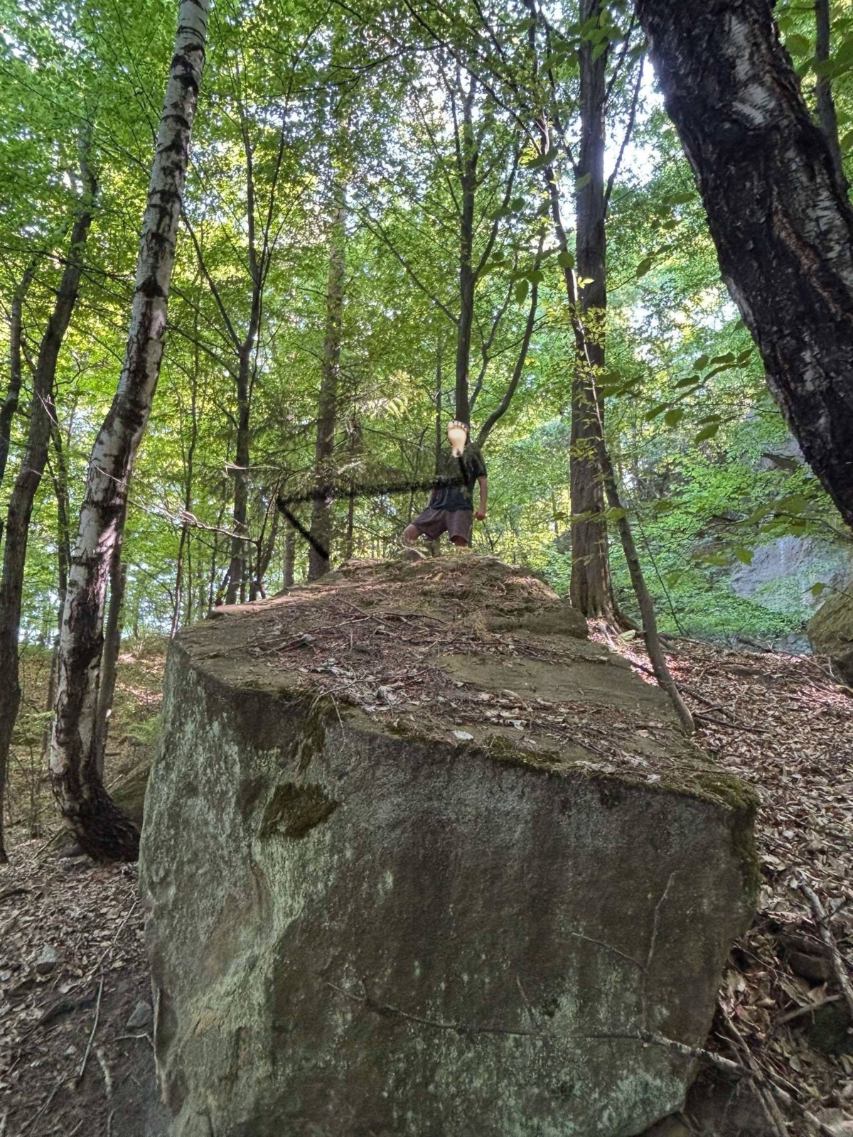 9dbe9a2a-b555-4ead-965f-bb8029f65c7c