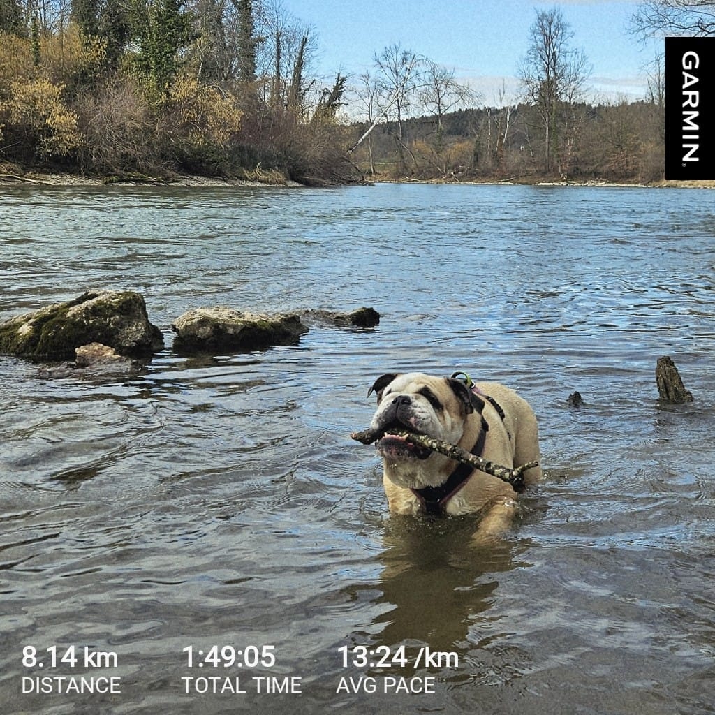 878cceed-81d2-47cd-b95d-1ad9ac16663f