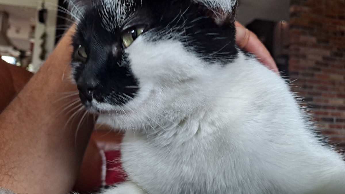 ae7513ce-6f45-4d4a-a6ff-82e5357187ab