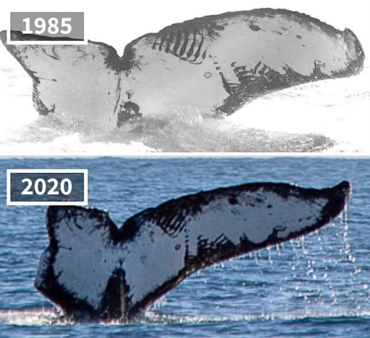 f055cfc1-6efb-4a1b-b033-5dc786fb6b54