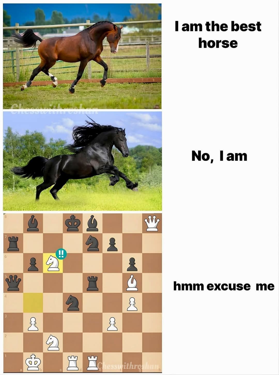 5927a504-17fa-4df8-a948-7139ca85321b