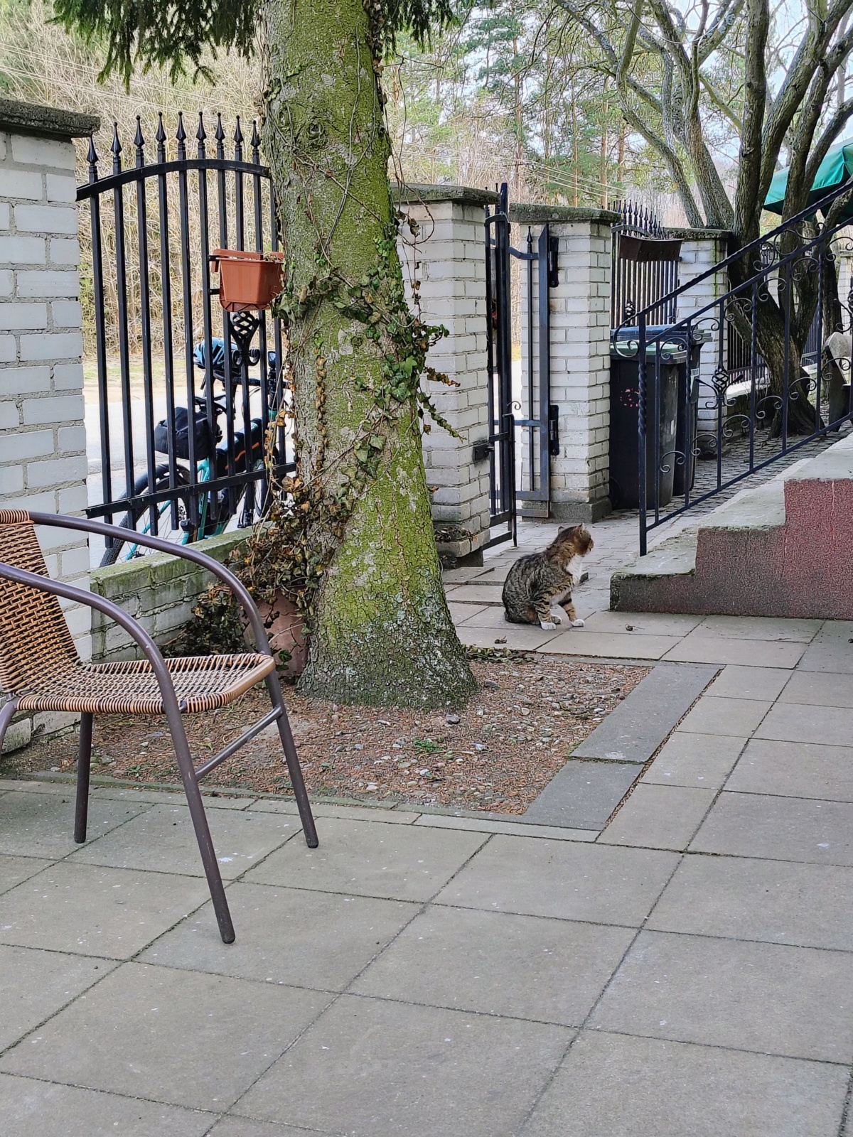 238c2ba3-6329-4bce-a3b3-628144a78651