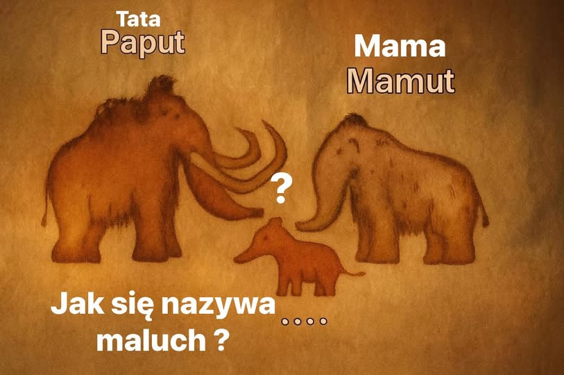 51cc2d48-e3e6-4278-9208-5e9460bbf560