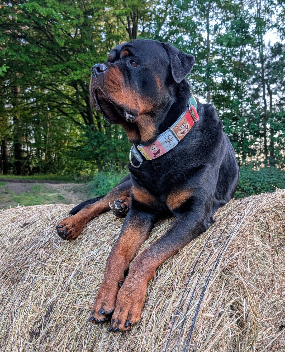 46228d1e-ce97-47db-856f-2201378aa7a9