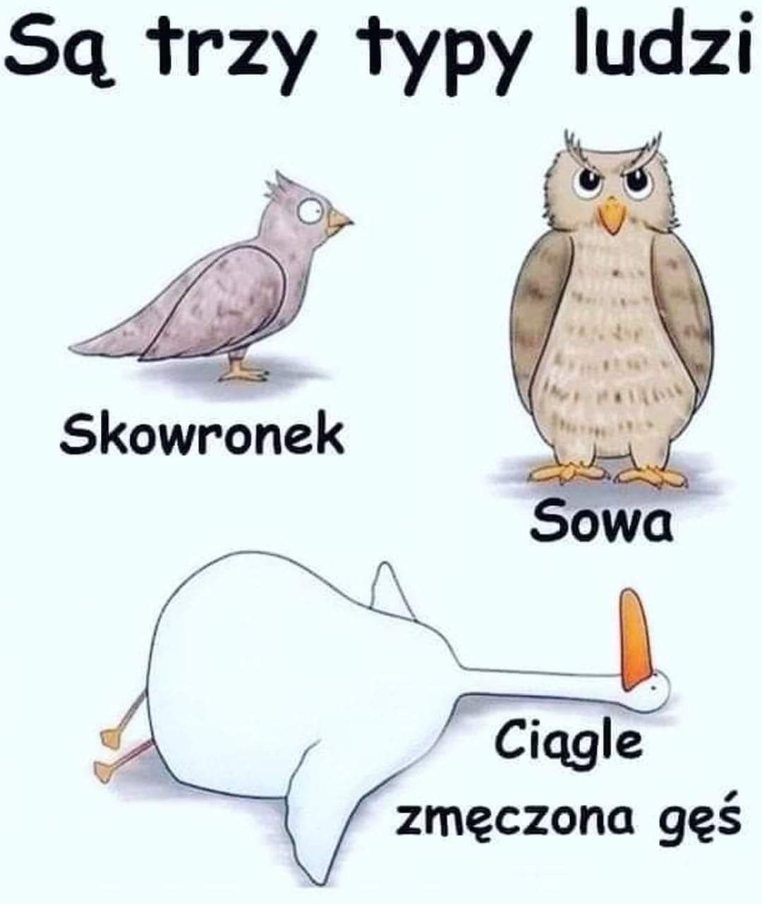 4046391f-14be-4227-8524-9b4e285f04d3