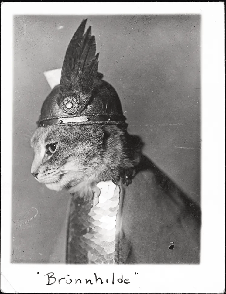 40b453ae-1c0b-45fd-a698-cfd54d937508