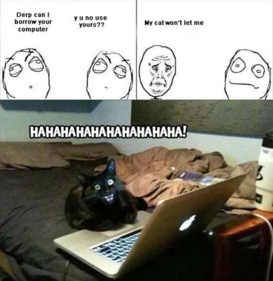 7bc2887b-de25-4316-974a-632e4c474f94