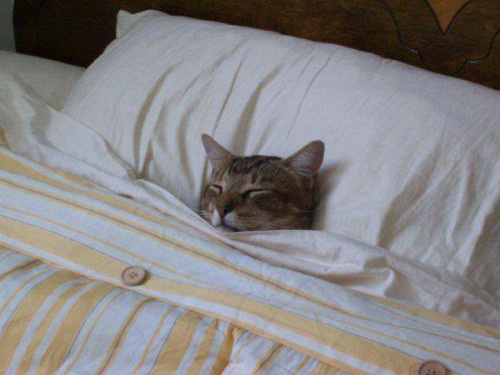 6877296b-f001-42a8-8d78-8b007bab9919