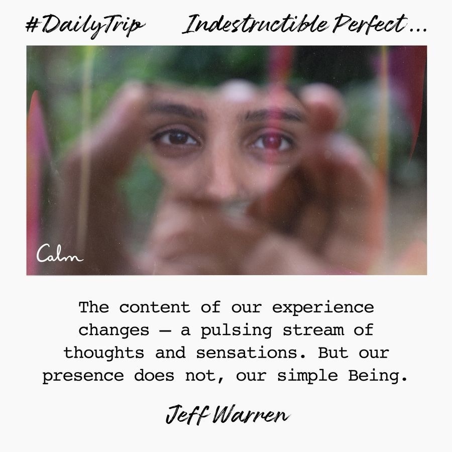 2e92a17b-5576-4ee6-8572-e0cdd7a0faba