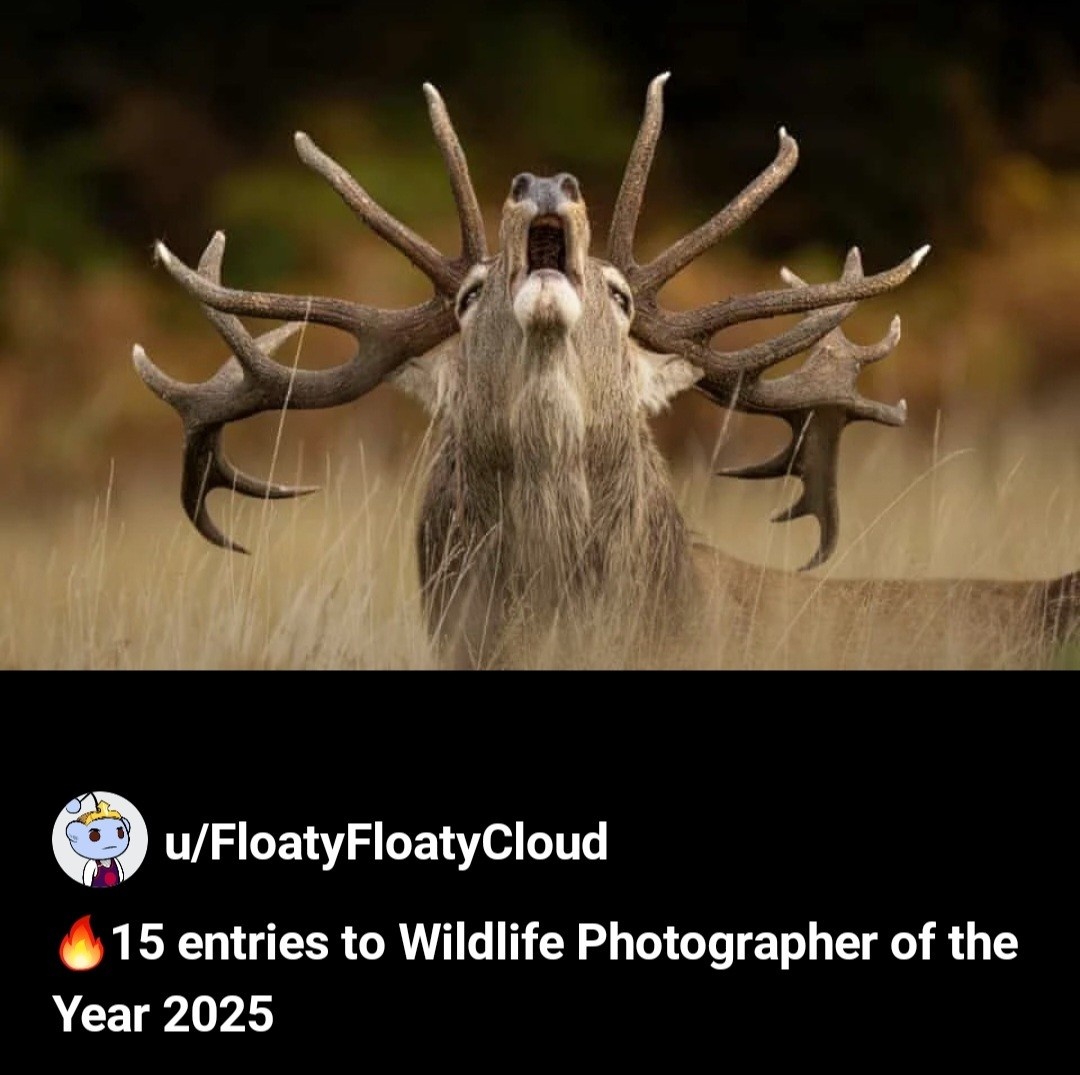 d07f7b75-61ad-450d-84ba-52274ec47540