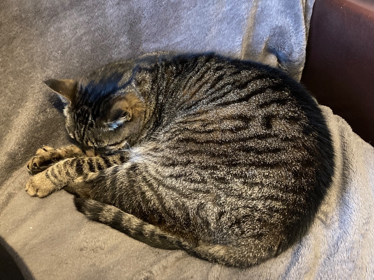 18da2712-40f7-48aa-b946-159189abf1c7