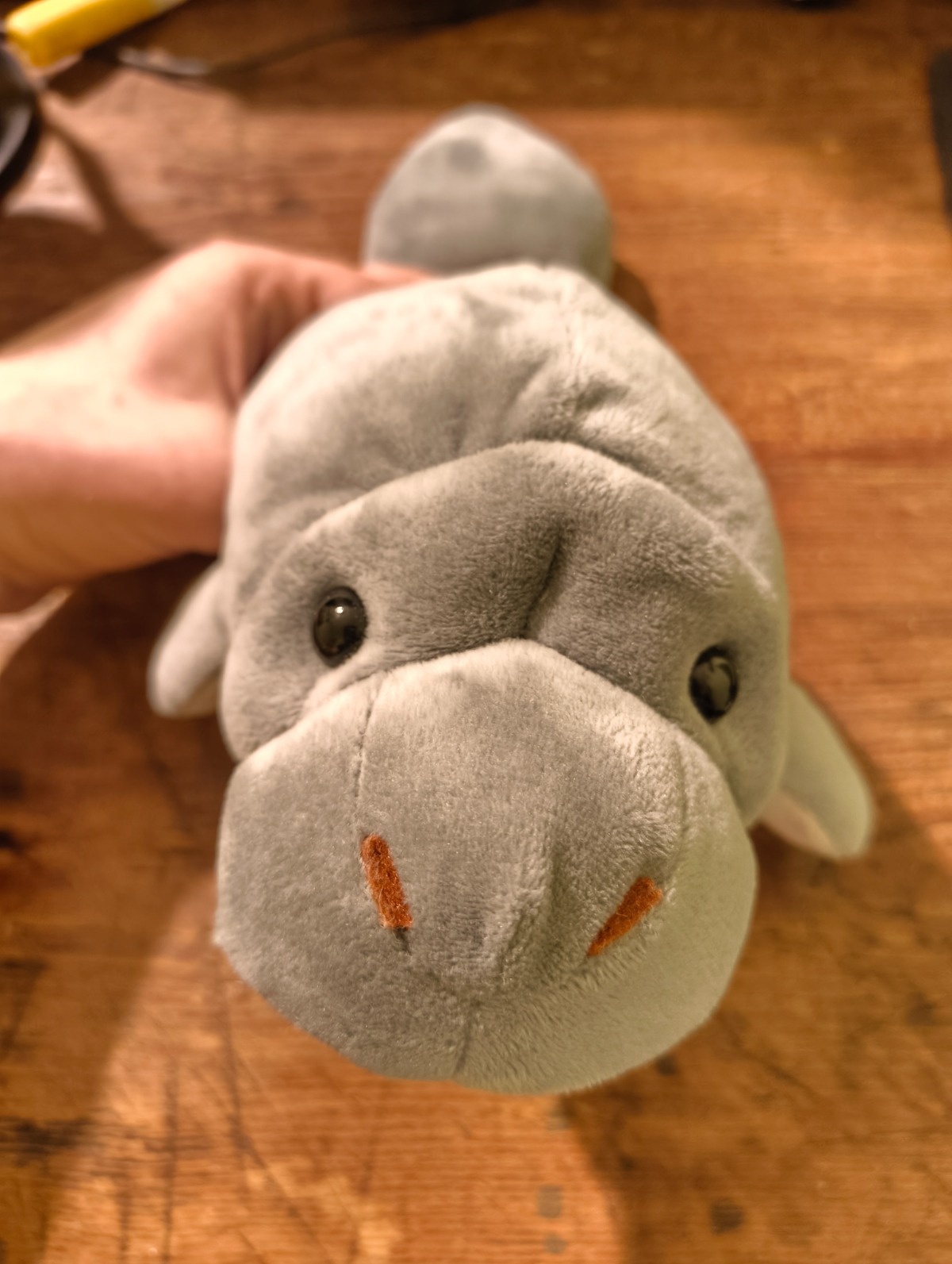 7aa031ab-8f8d-4d47-8bba-9377d19c83e3