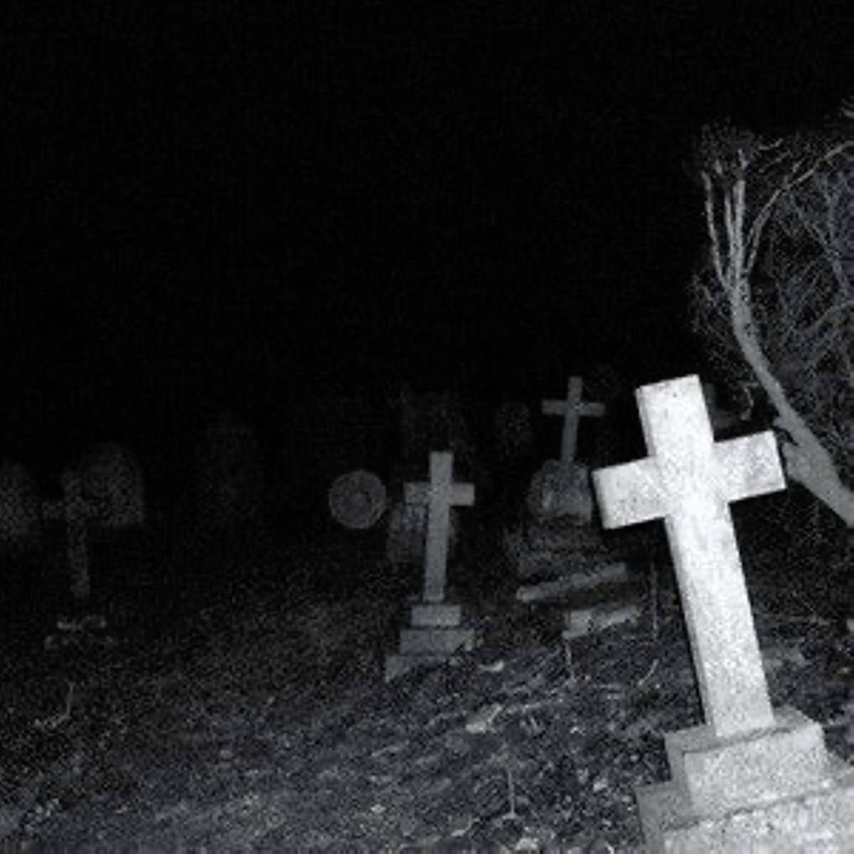 e20cc87d-0b8c-4fd7-9acc-795e4e46943a