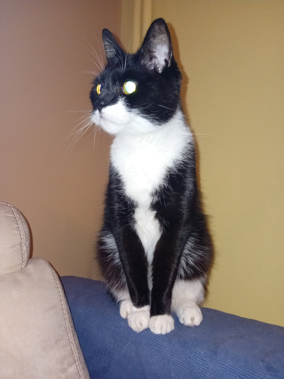 9f39d846-e163-47f1-a2ec-b4e55bca18d7