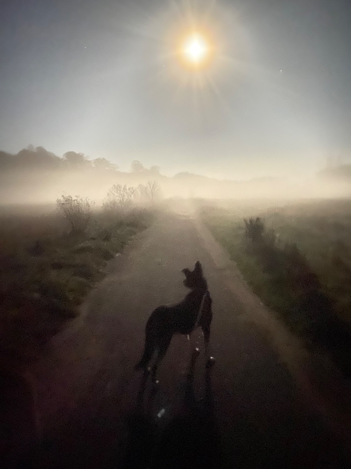 cf8dd0df-5ef5-4aeb-b3c5-d912f538a9f9