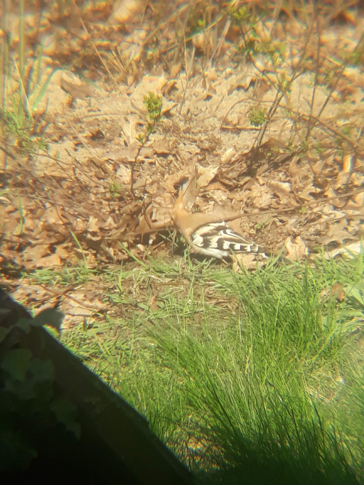 ba29972f-dca9-4cce-b0e1-0210a1a3e32d