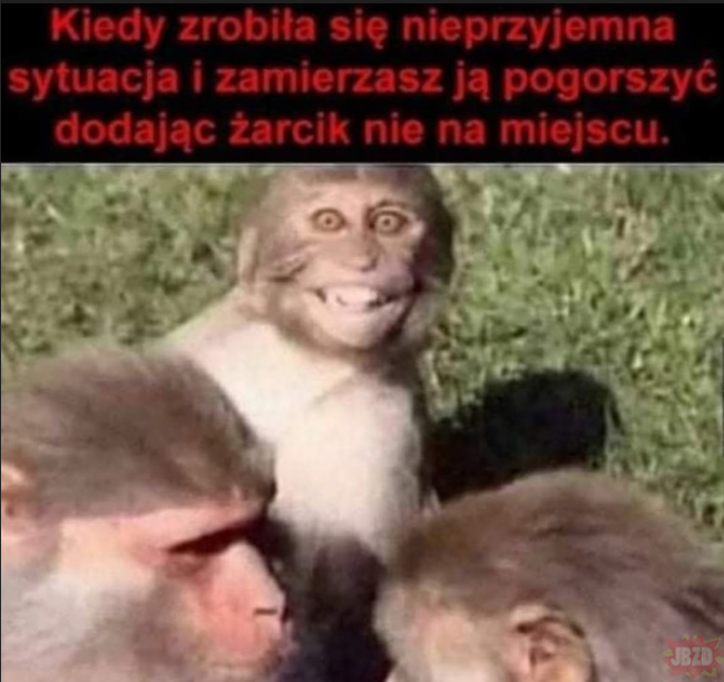 5f895333-1224-49d2-aab9-2cd6dfdeaefe