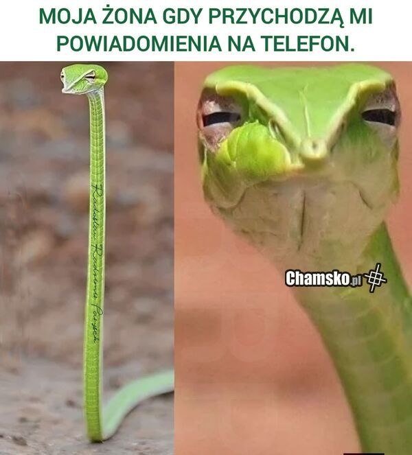 e03e9bf3-35b5-4d97-830e-de93510b983d