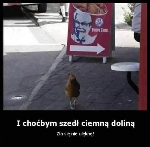 7b6c8d69-8e98-4e0d-9cc5-a8702556ea43