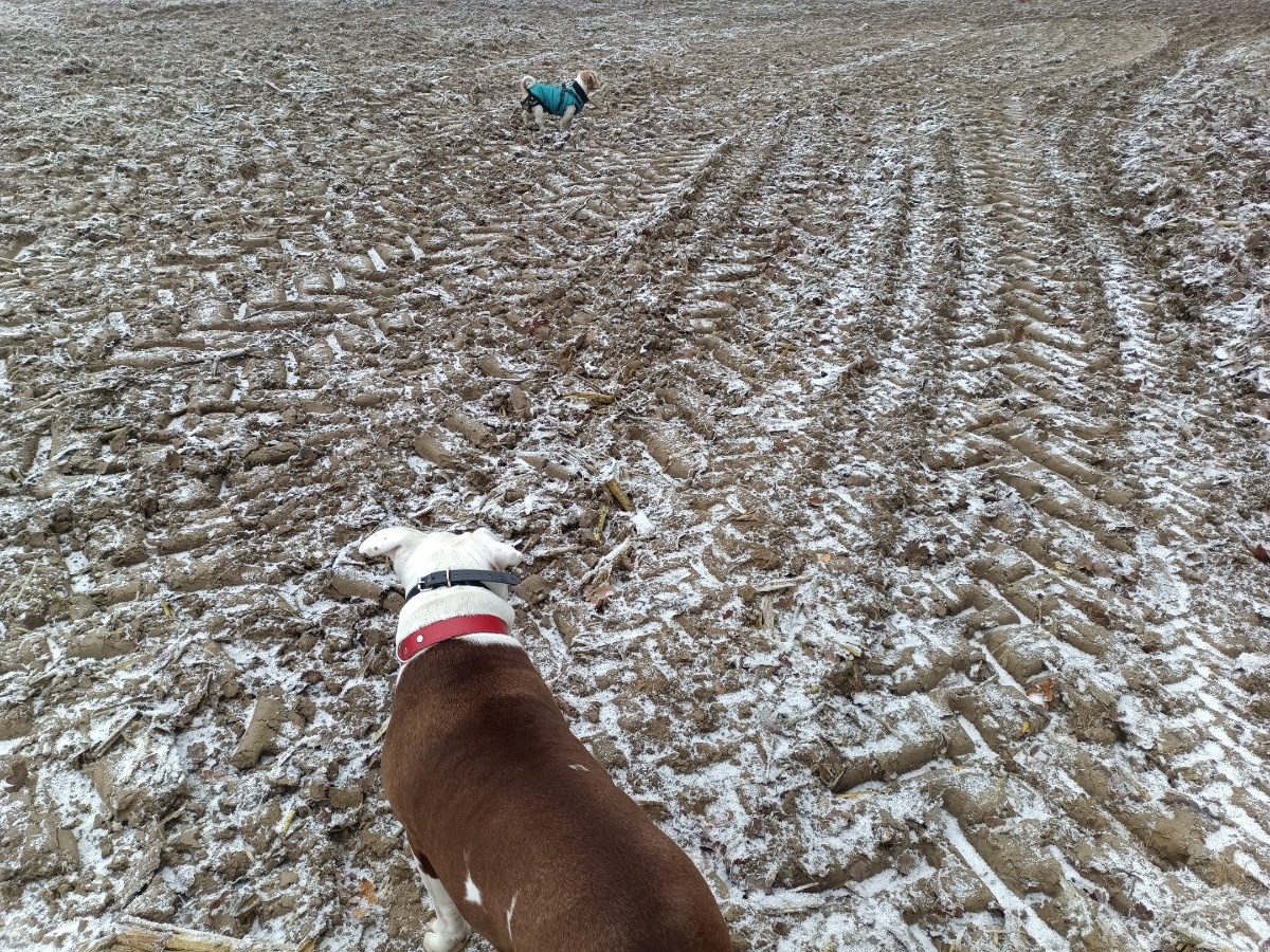 d432f424-8ac3-4248-92bd-ca6bda3d1edf