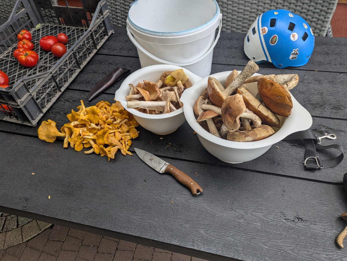 13b385c5-b8a5-4d51-98e7-eb09ab2cce8a