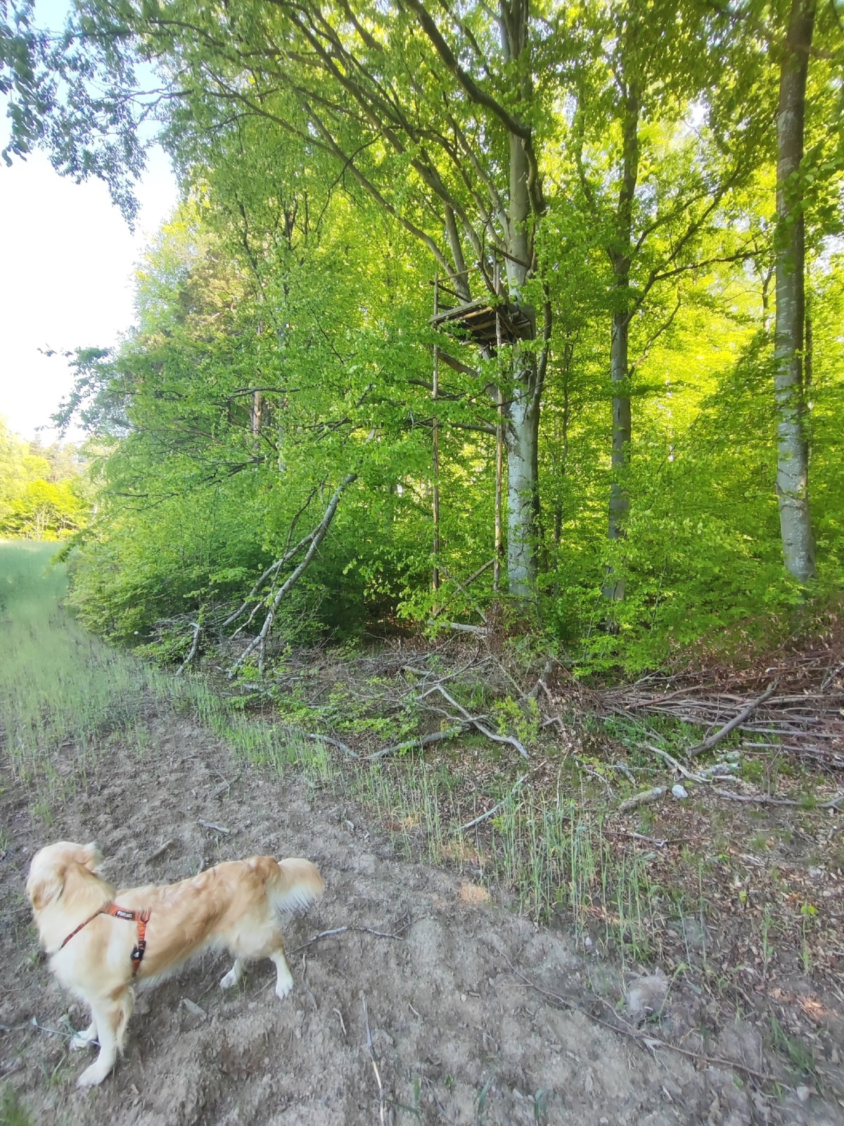 2f5c45ef-ddf2-4a34-9155-bb0cc3b85268