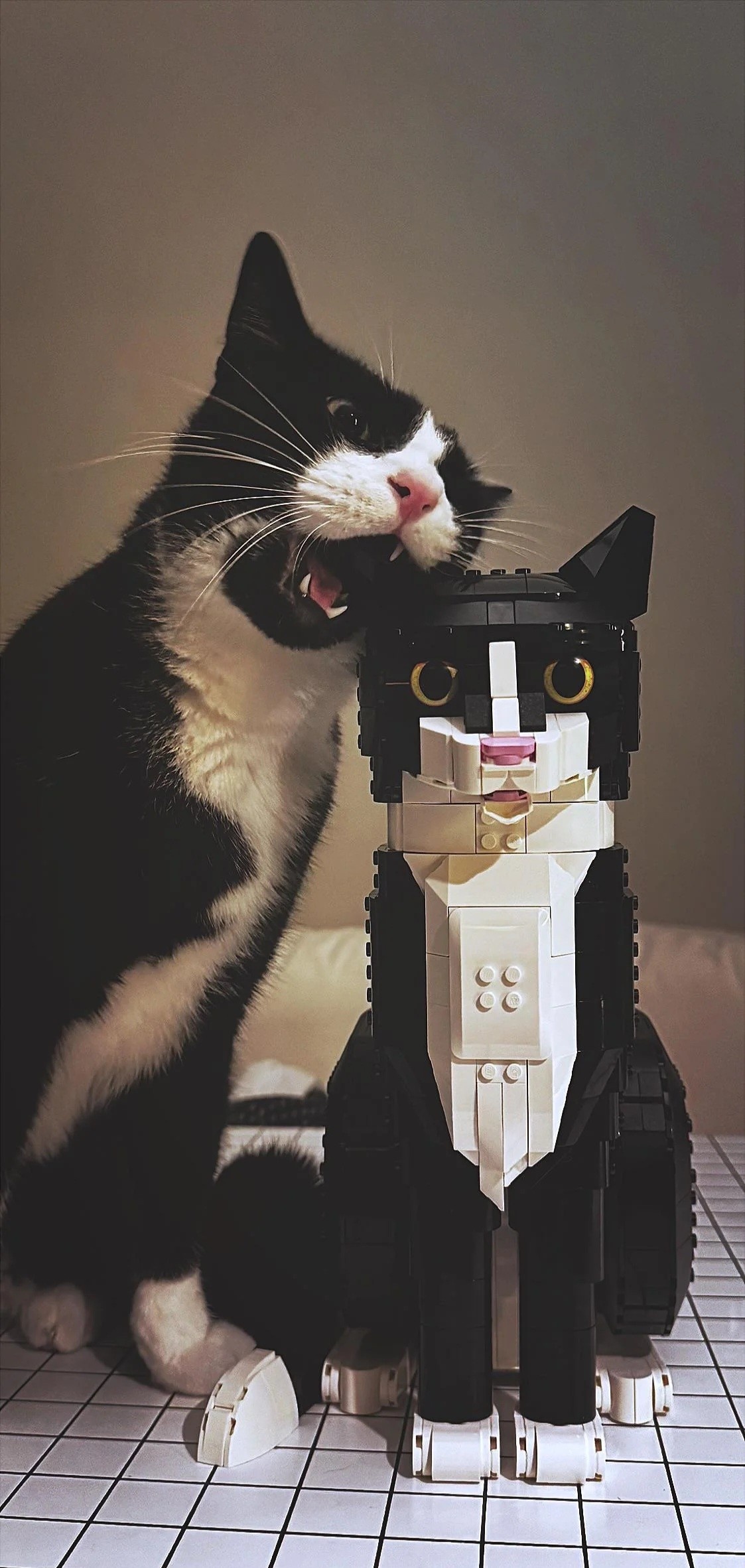 853d463d-c9f5-48d1-94b5-a433ffba1e8b