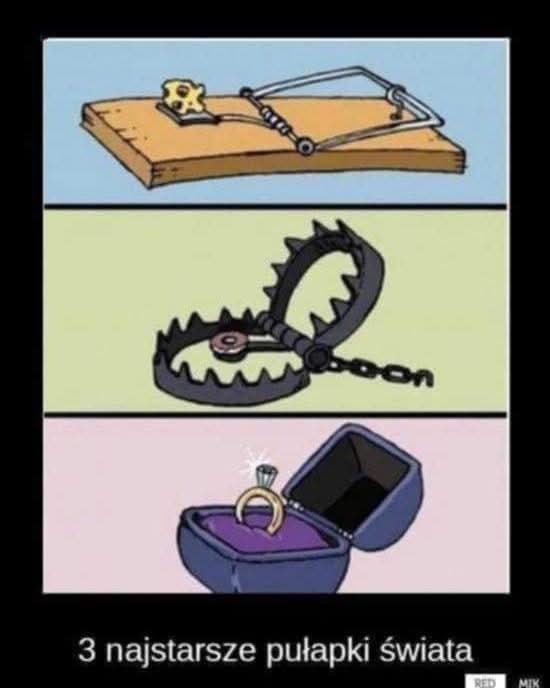 3a420fb5-5166-4b10-ac48-24620999808d