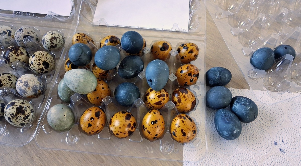 4de89f01-6540-4599-bb7f-95b235ba8b7e